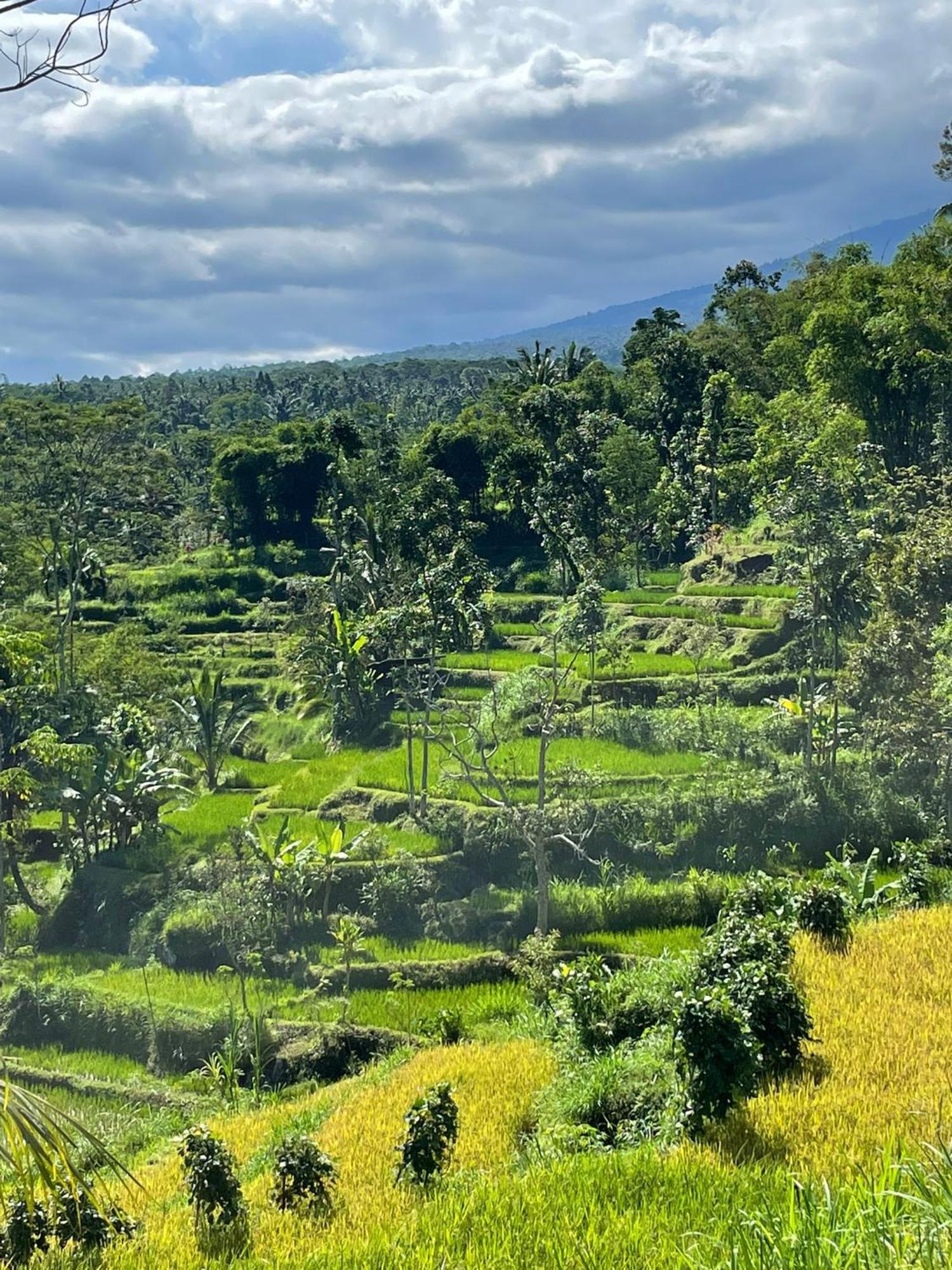 New Rinjani Homestay Тетебату Екстериор снимка