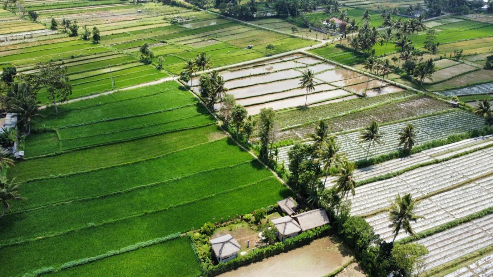 New Rinjani Homestay Тетебату Стая снимка