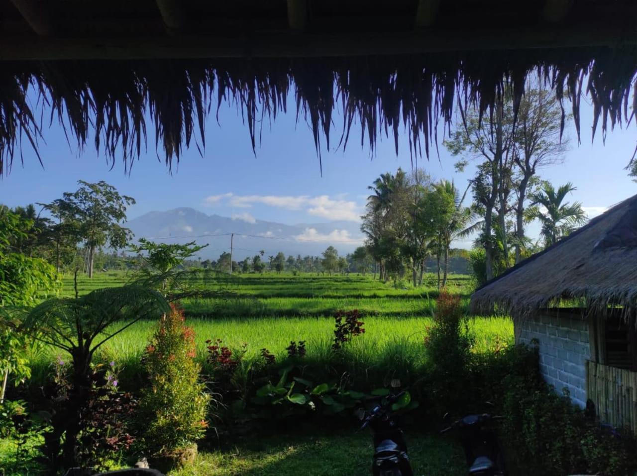New Rinjani Homestay Тетебату Екстериор снимка