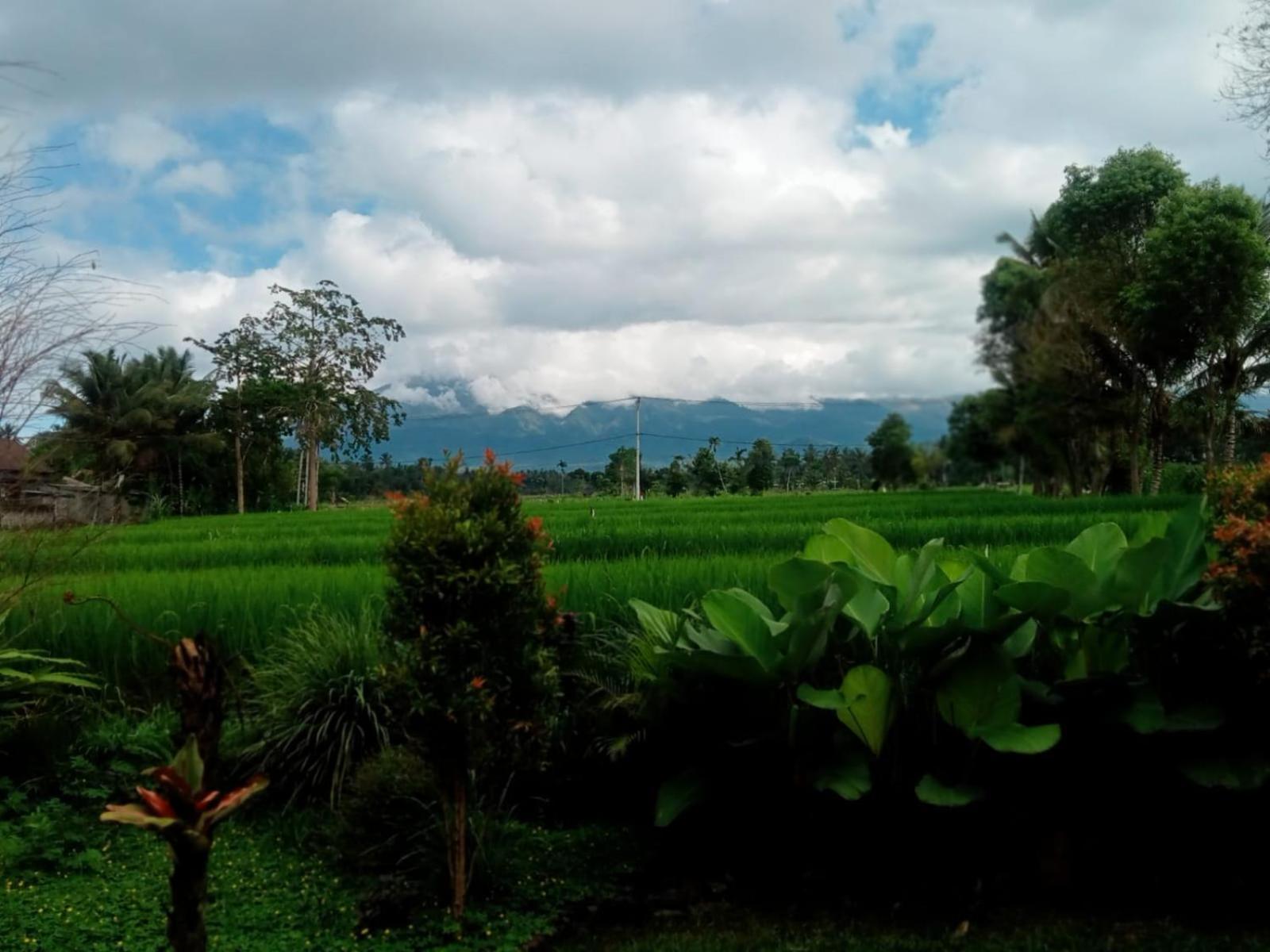 New Rinjani Homestay Тетебату Стая снимка
