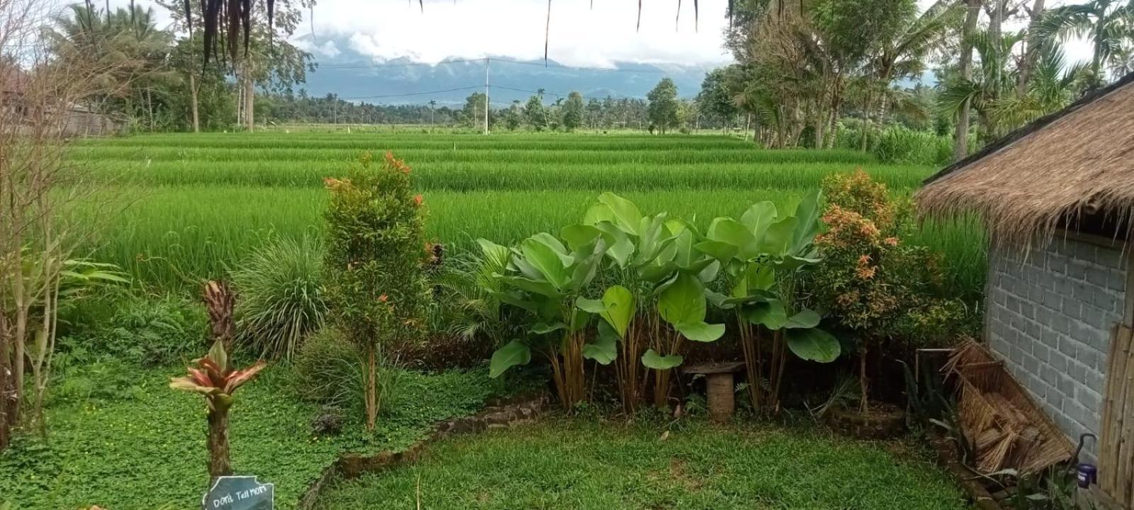 New Rinjani Homestay Тетебату Стая снимка