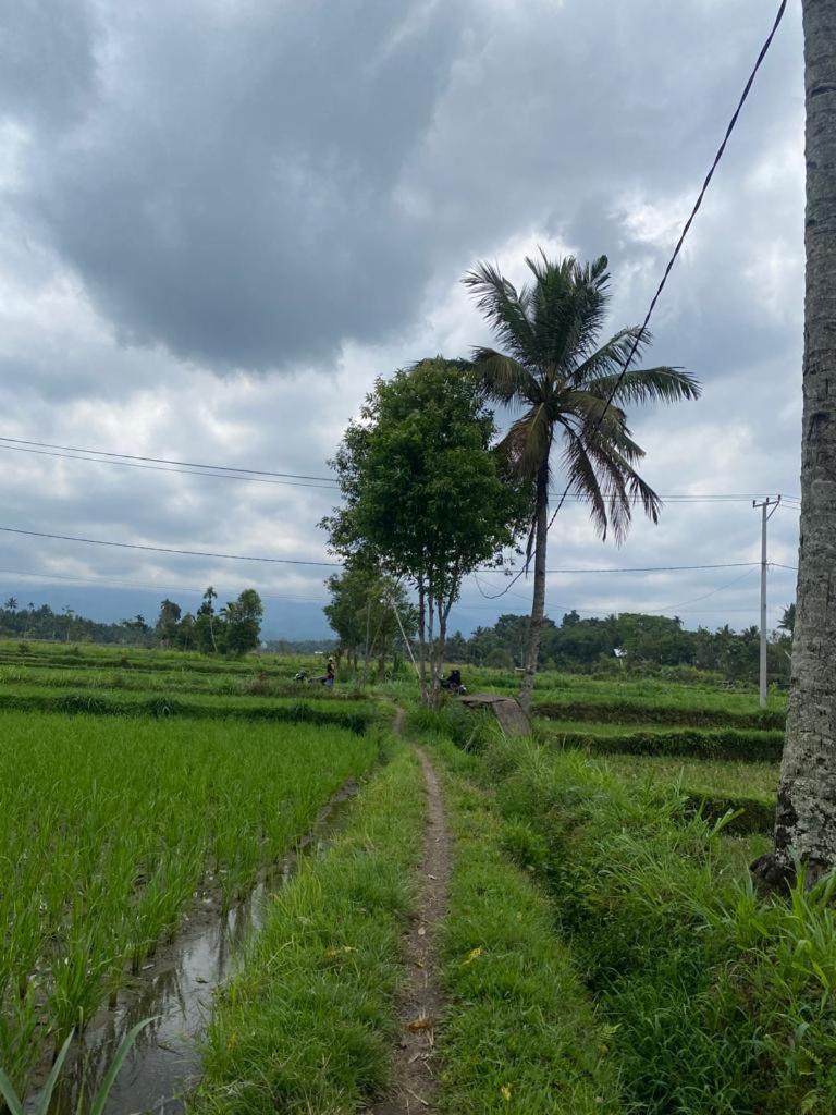 New Rinjani Homestay Тетебату Стая снимка