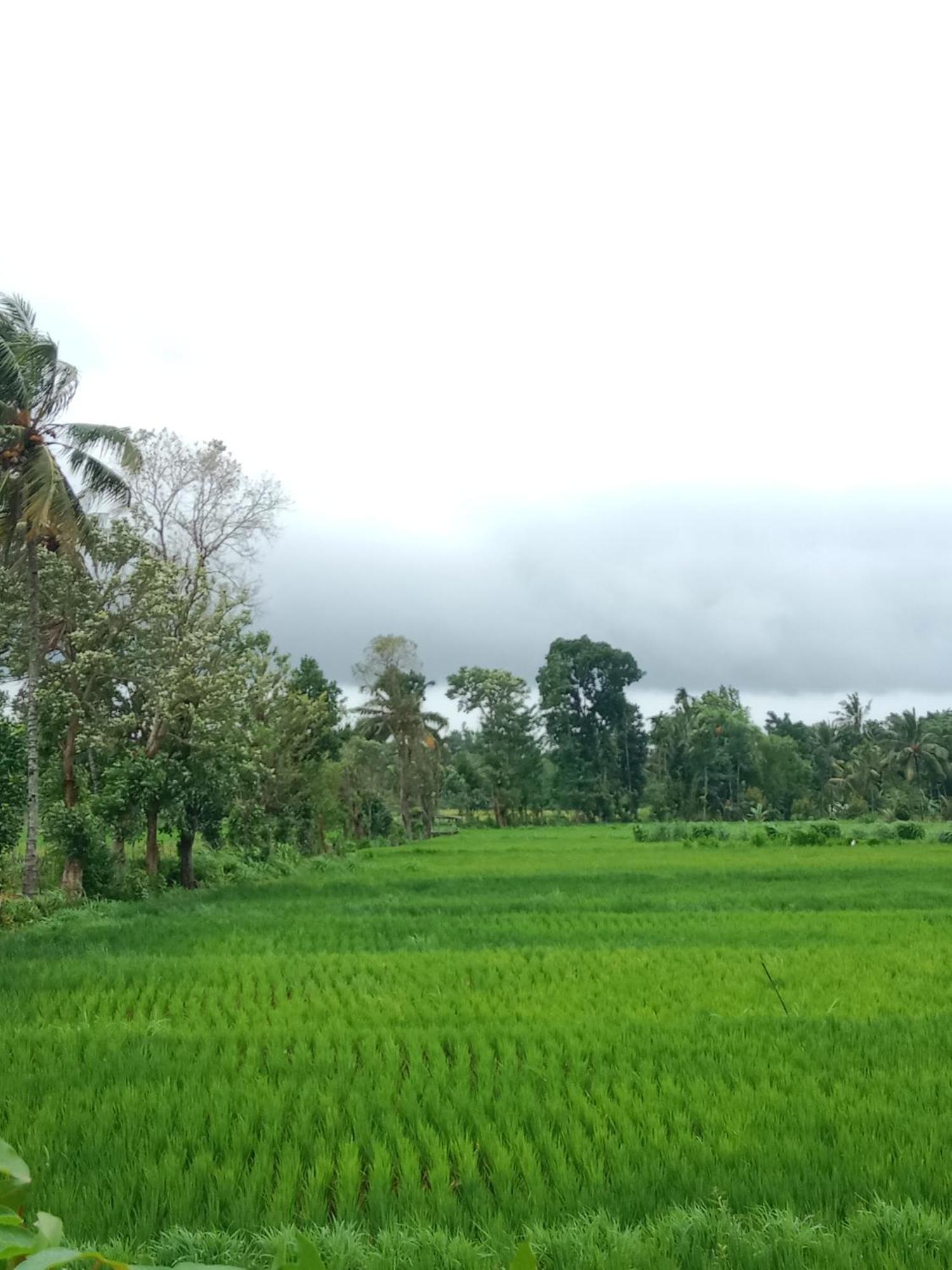 New Rinjani Homestay Тетебату Екстериор снимка