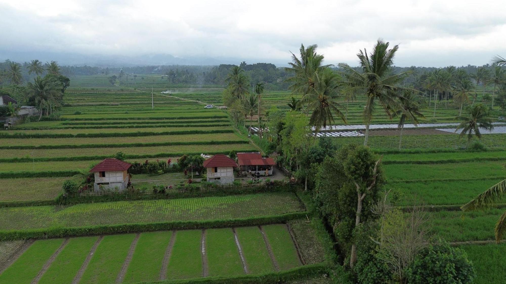 New Rinjani Homestay Тетебату Екстериор снимка