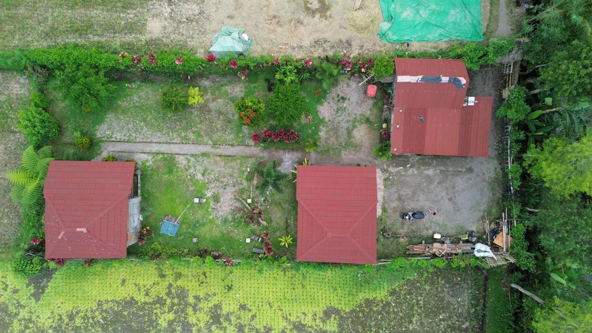 New Rinjani Homestay Тетебату Екстериор снимка